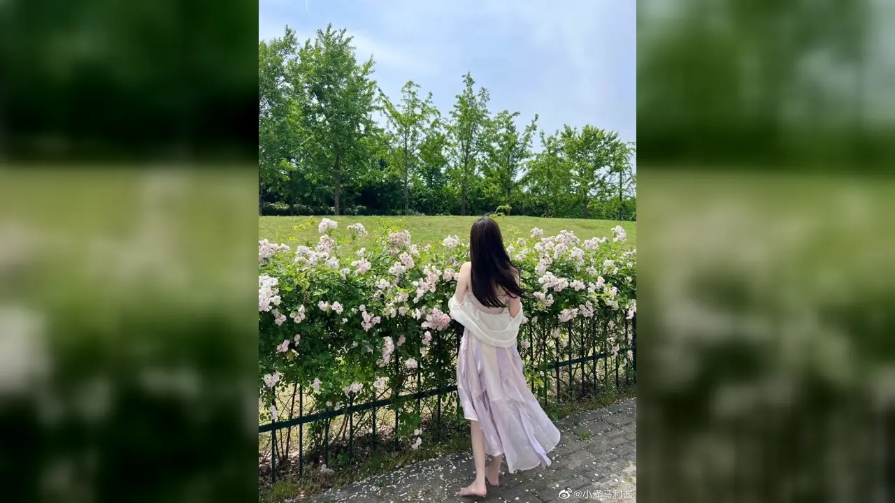 51品茶-甜系话题复盘